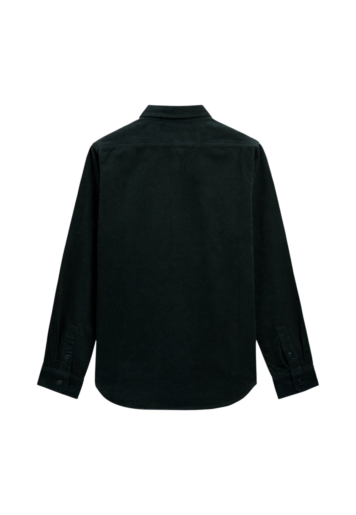 Camicia  Uomo Sebago  Leeword 781335W