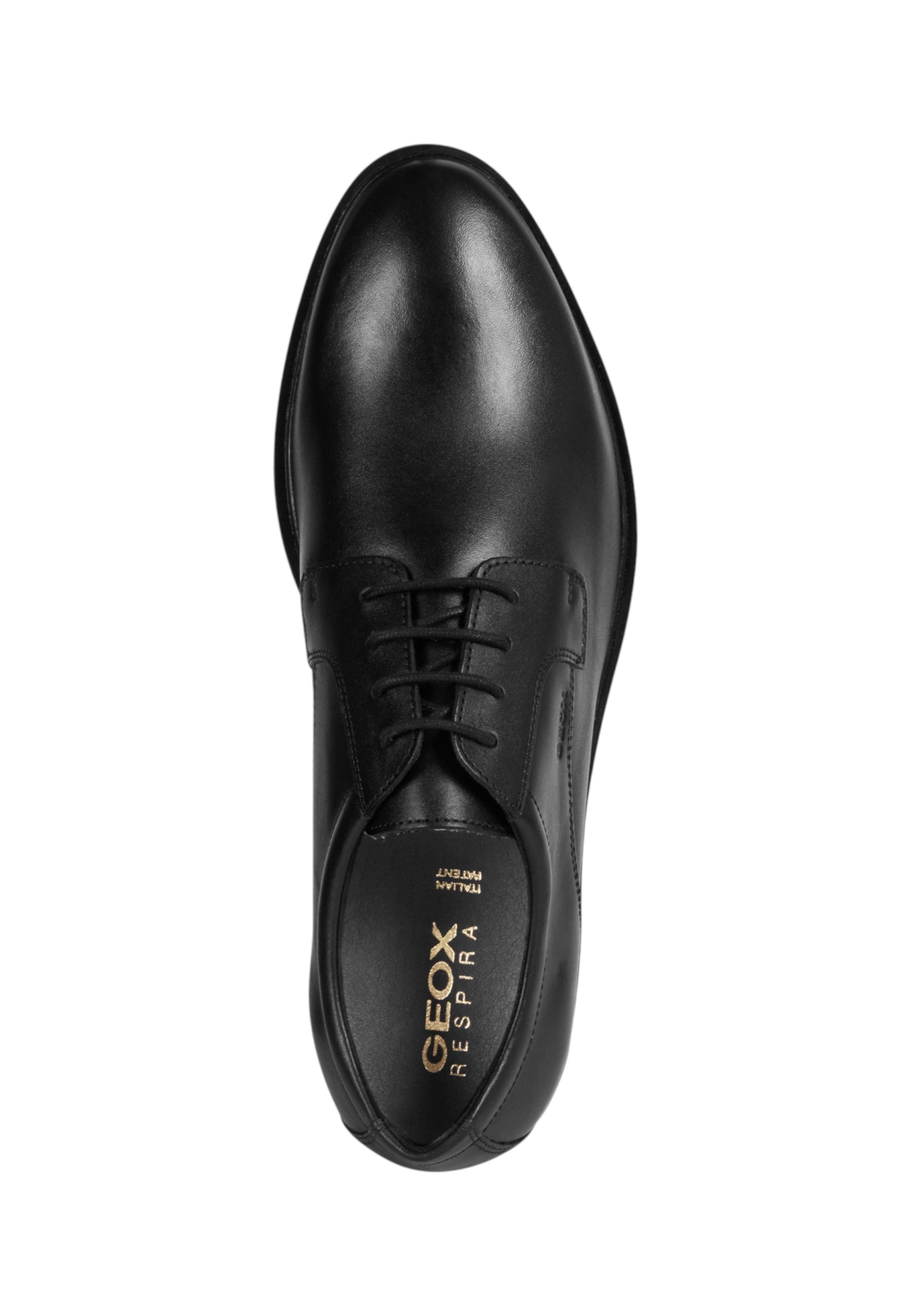 Stringate Basse Uomo Geox  Gladwin U024WA00043