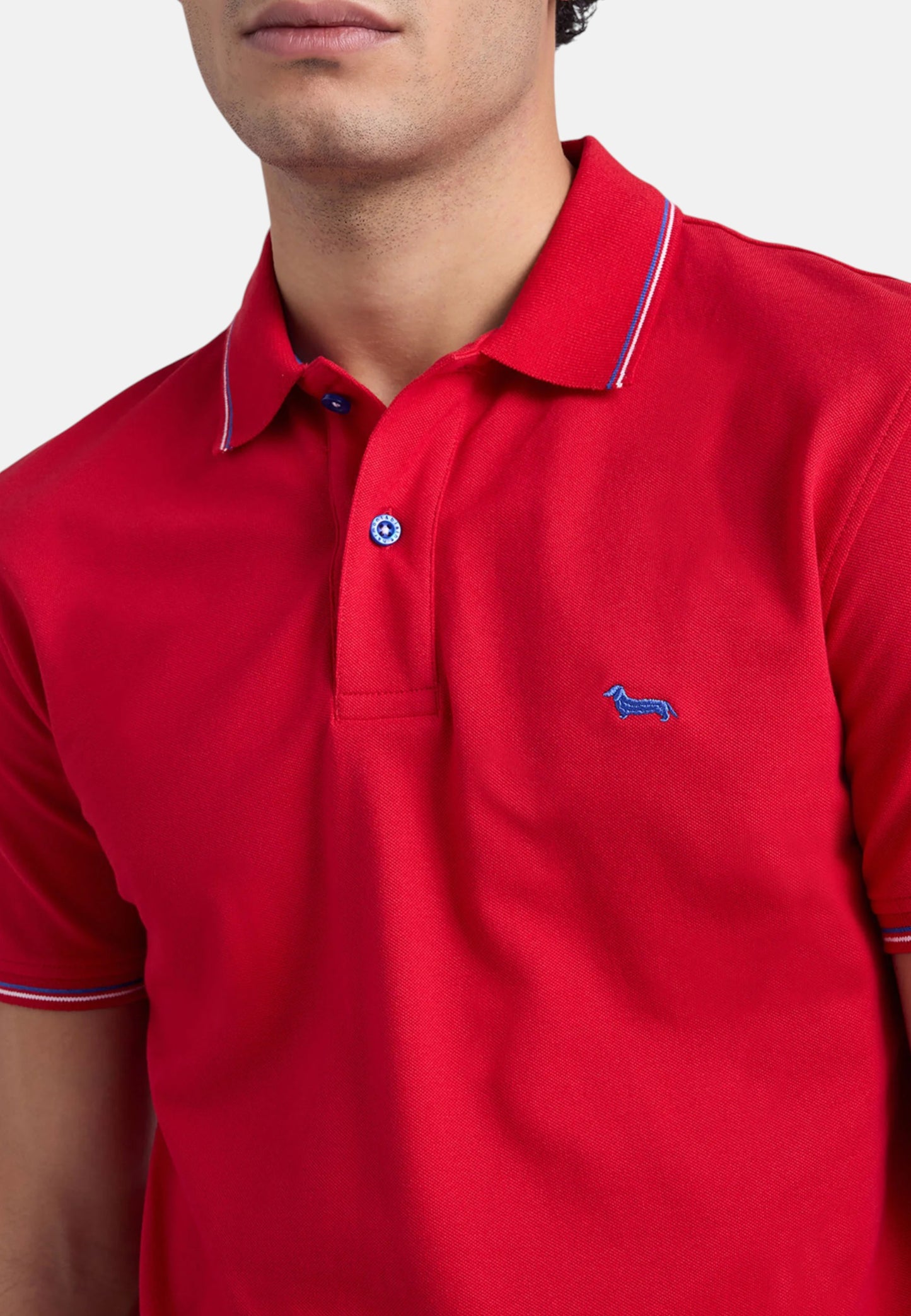 Polo Manica Corta Uomo Harmont & Blaine Con Orli E Righini A Contrasto  LNQ032020862