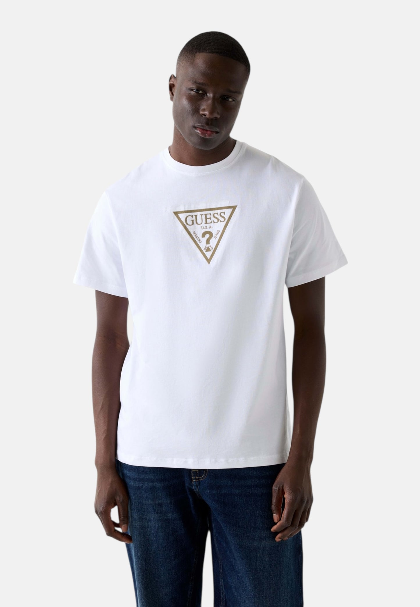 T-Shirt Manica Corta Uomo Guess  Terry Logo M6RI23K8FQ4