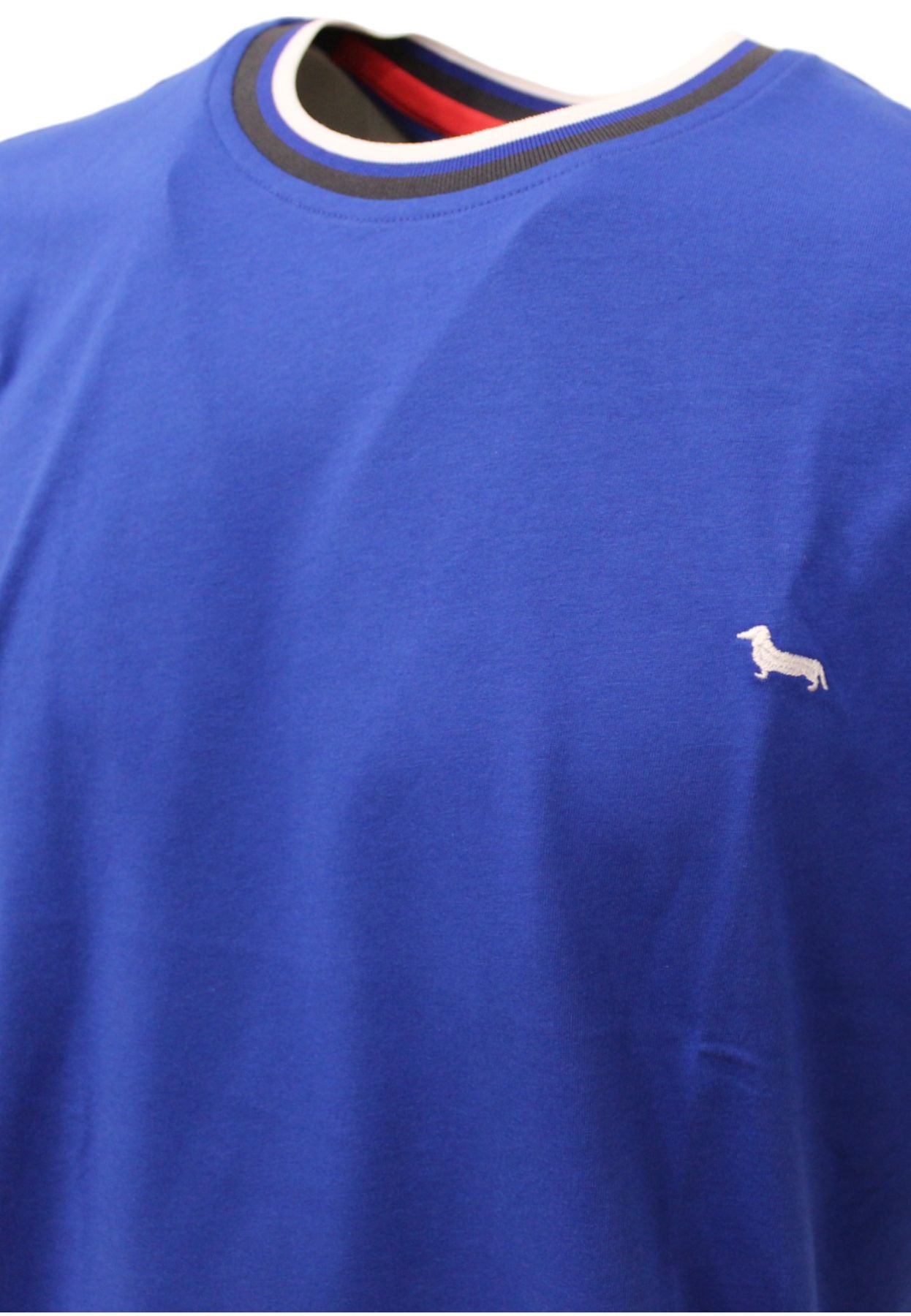 IRL188021223 - T-shirt - Harmont &amp; Blaine