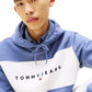 Felpa Con Cappuccio Uomo Tommy Jeans  Tjm Regular Cblk Linear DM0DM21932